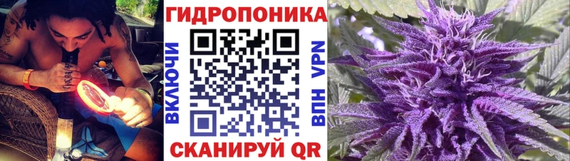 Шишки марихуана LSD WEED  купить наркотики сайты  Шелехов 